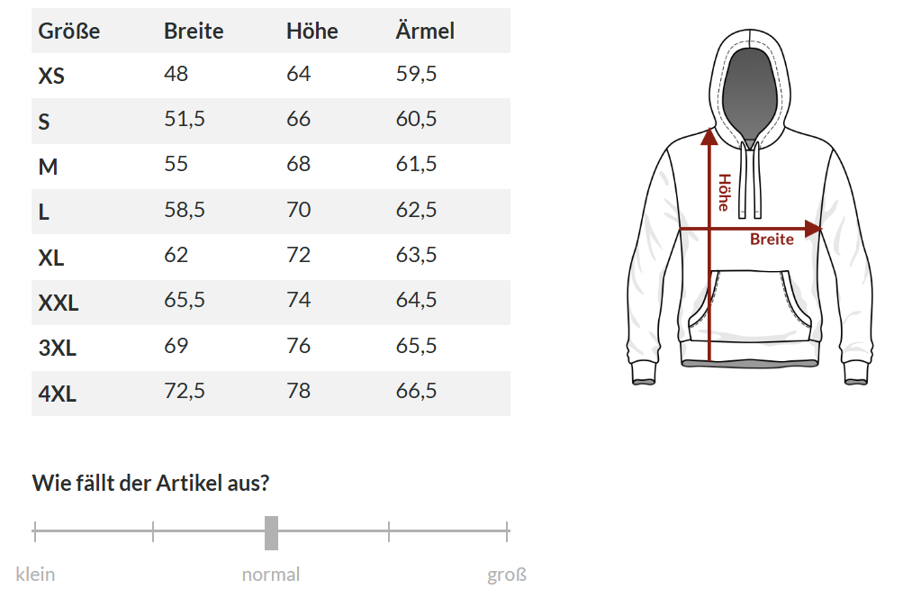 Aerionic Logo Hoodie – Offizieller Planespotter-Hoodie